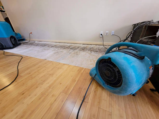 Professional Basement Flood Cleanup technician working in Shenandoah, LA